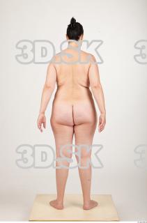 Body texture of Gevana 0020